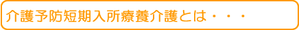 介護予防短期入所療養介護・・・