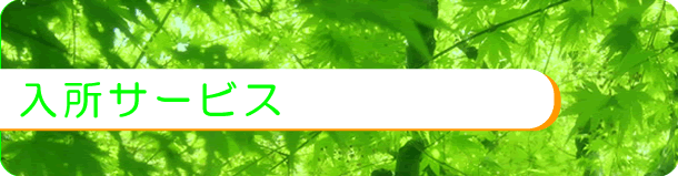 入所サービス